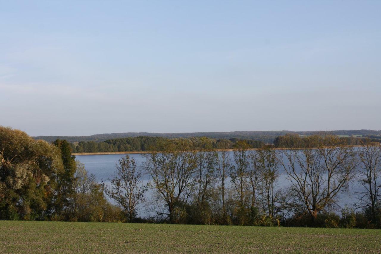 Landpension Zum Schweizerberg Neugrimnitz 외부 사진