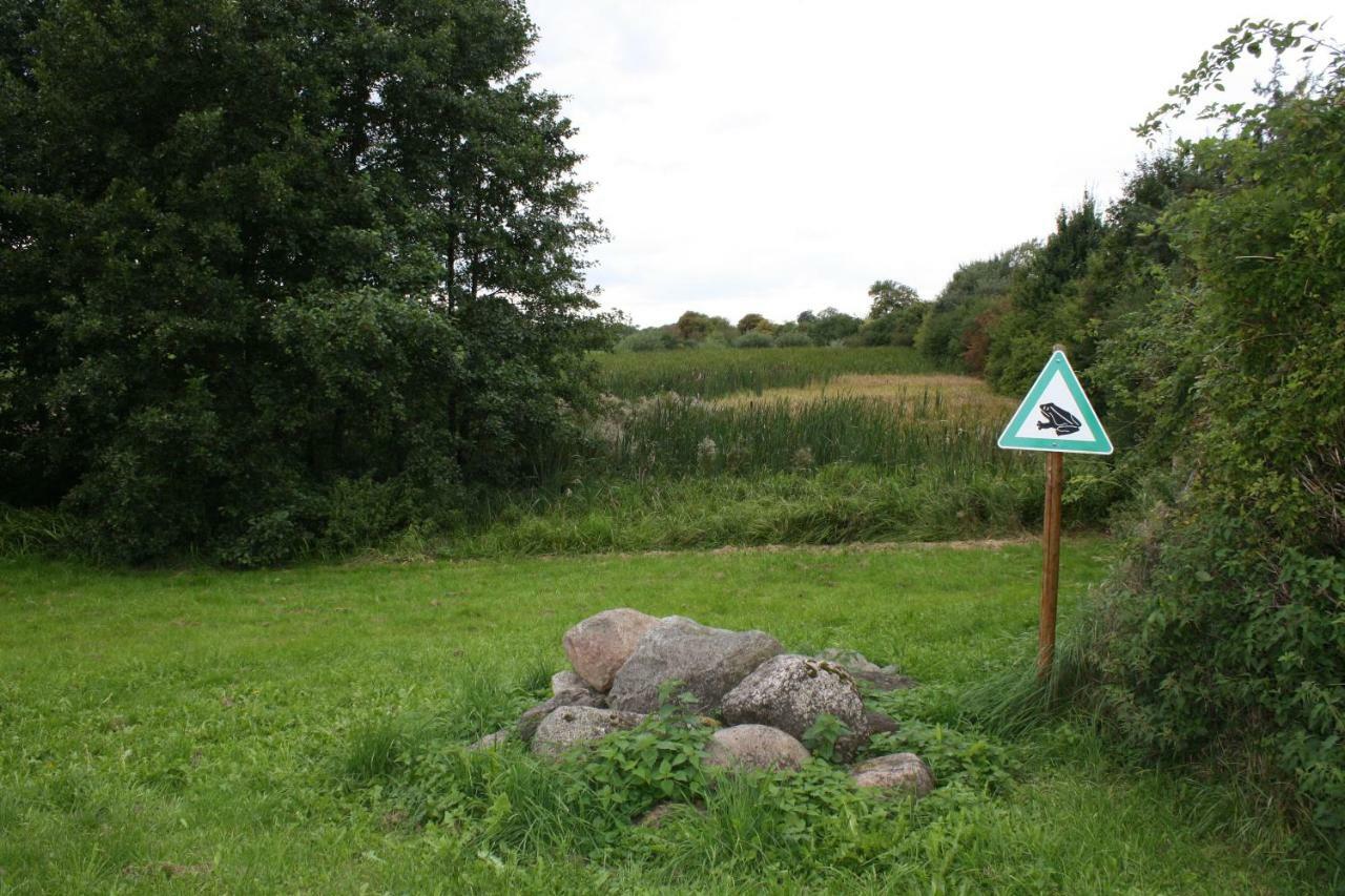 Landpension Zum Schweizerberg Neugrimnitz 외부 사진