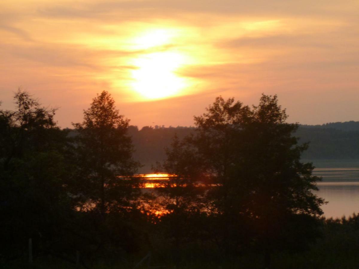 Landpension Zum Schweizerberg Neugrimnitz 외부 사진