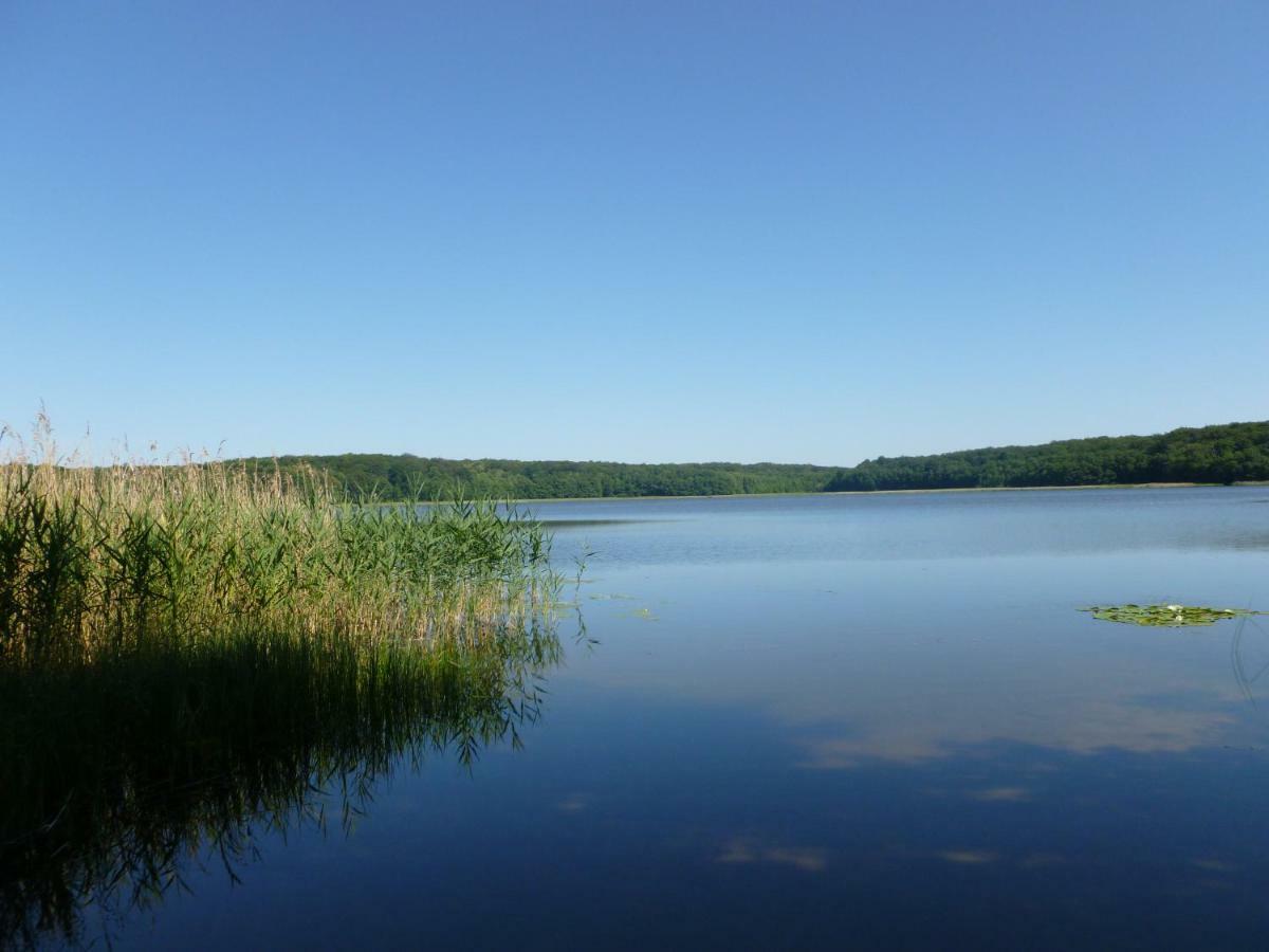 Landpension Zum Schweizerberg Neugrimnitz 외부 사진