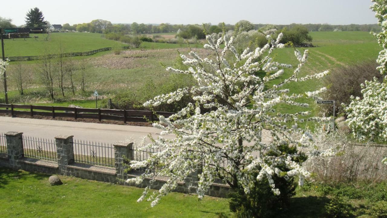 Landpension Zum Schweizerberg Neugrimnitz 외부 사진