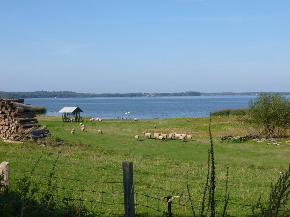 Landpension Zum Schweizerberg Neugrimnitz 외부 사진